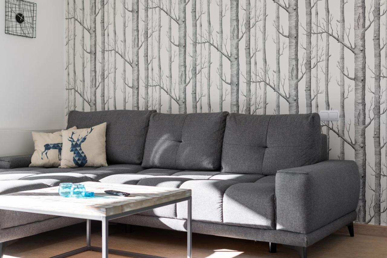Apartament Scandinavia ザコパネ エクステリア 写真